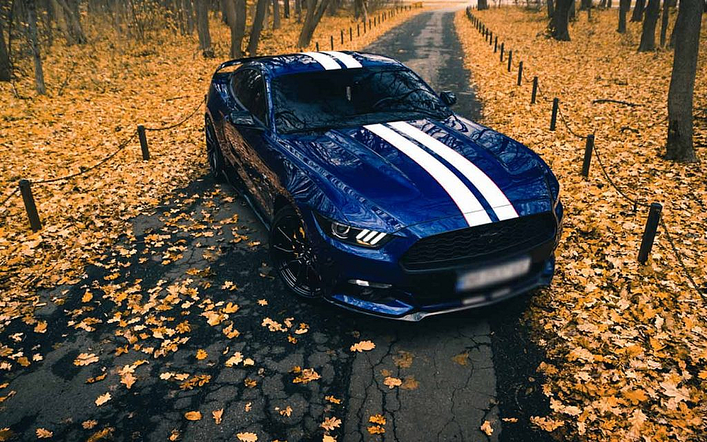 These interesting facts about Mustang cars might shock you